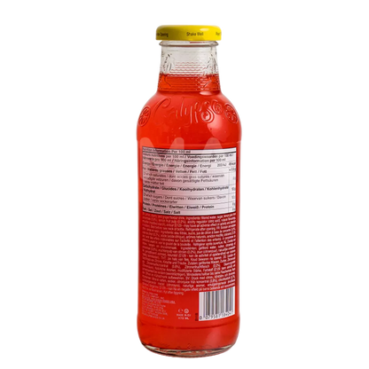 CALYPSO Limonade Paradise Punch 473ML