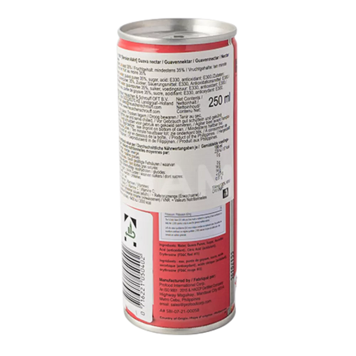 FILIPPIJNSE MERK Guava Nectar Ds 250ML