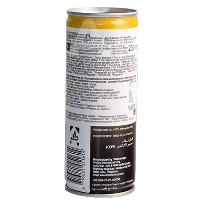 FILIPPIJNSE MERK Ananas Nectar Ds 250ML