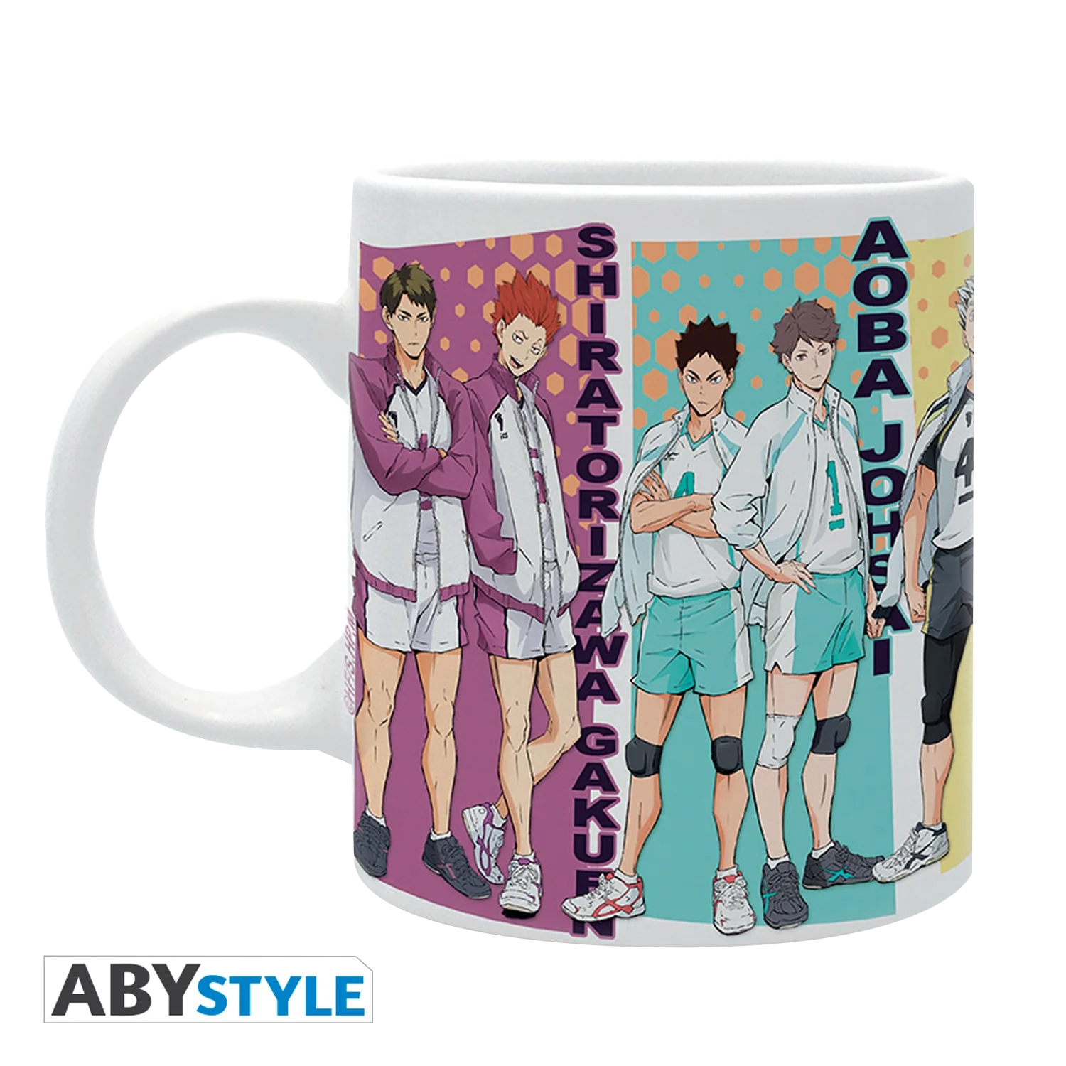 HAIKYU! Mug 320ML Rival Teams